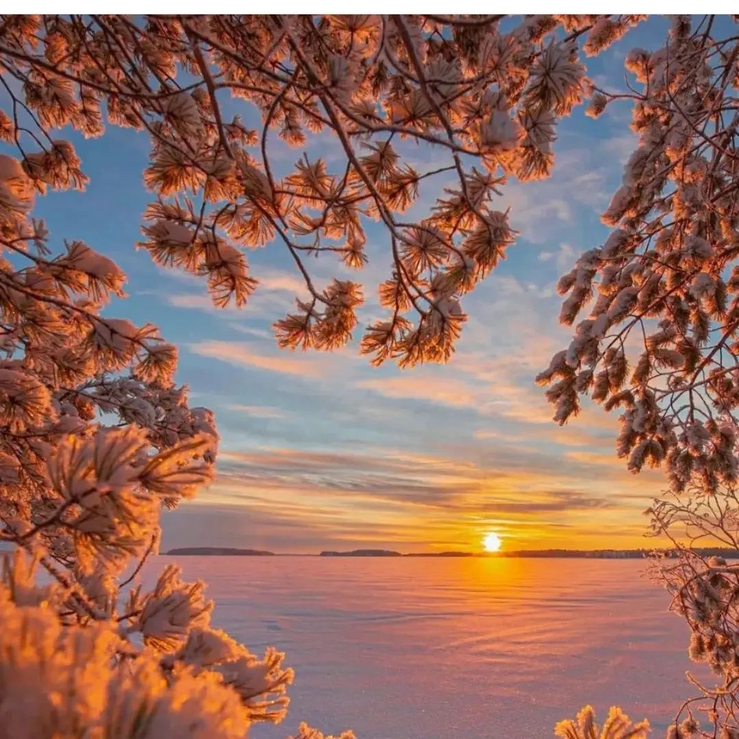 Use your footsteps to measure the world and your eyes to record the scenery.