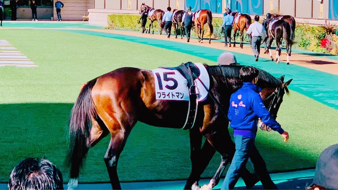昨日はフォロワーさんと東京競馬場へ行ってきました(*'︶`) レースや競走馬の話を思いっきり出来たり、推しのシロニイを生で見たり写真撮れて最高でした! そしてありがとうブライトマン、へデントール!