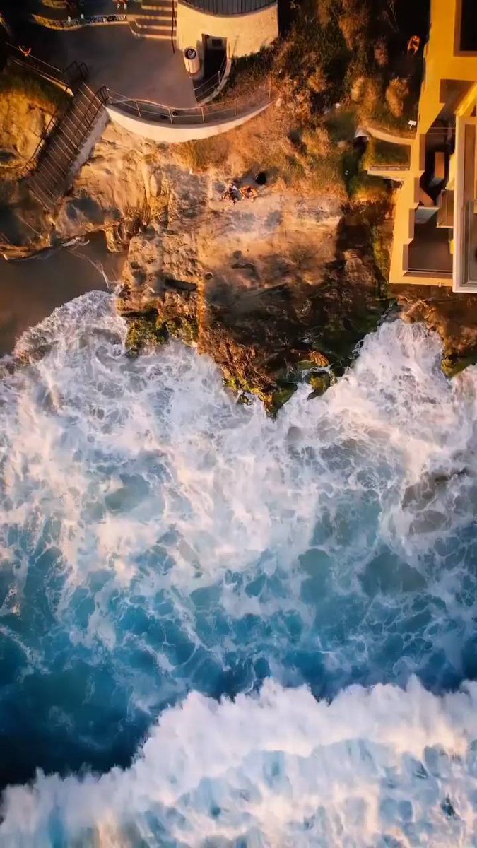 The garden is full of spring scenery, with a few red flowers falling all over the ground