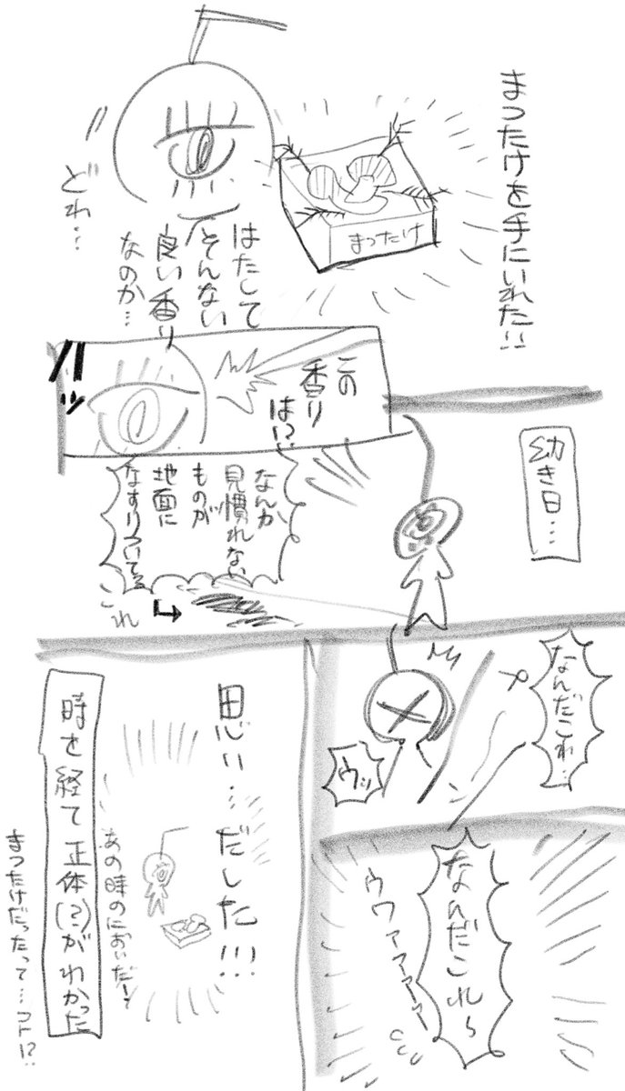 日記:松茸とあの日