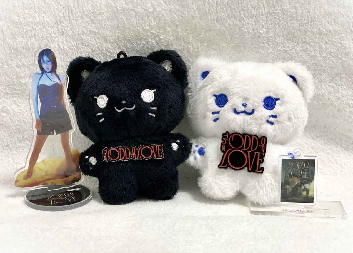 오드콘 다냐왔다냥💜 
어떻게 오프닝이 쏘아엔비유..!! ≽^•⩊•^≼
#탱냥이랑꽁냥