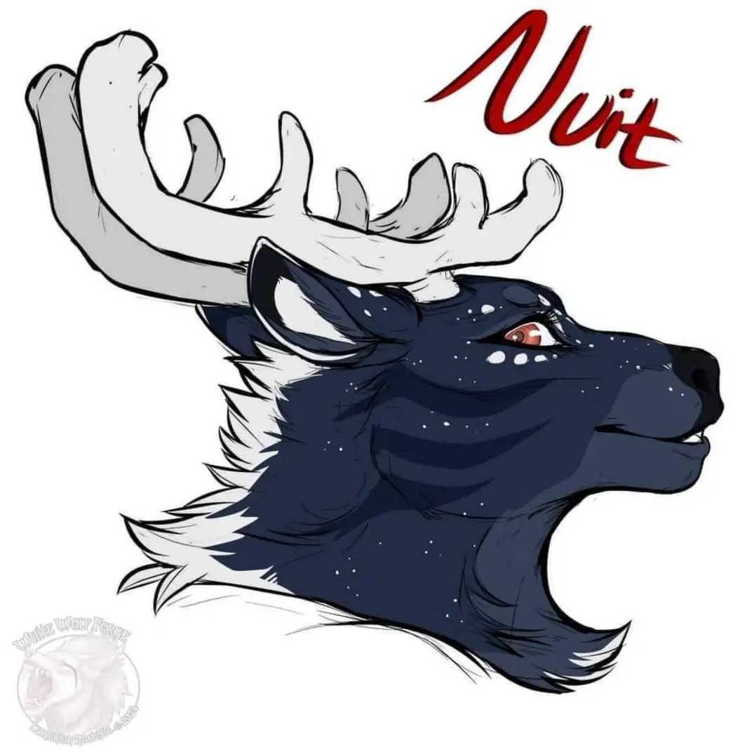 CatamountCubing's tweet photo. @MoonFeatherArts Nuit is a barren ground caribou who's white markings glow! She loves hoodies and hot chocolate https://t.co/8B6yrxhzpD