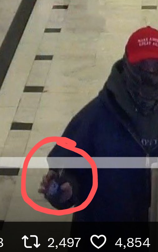 Heavily disguised Fedsurrectionist showing his badge in the Capitol on January 6th.