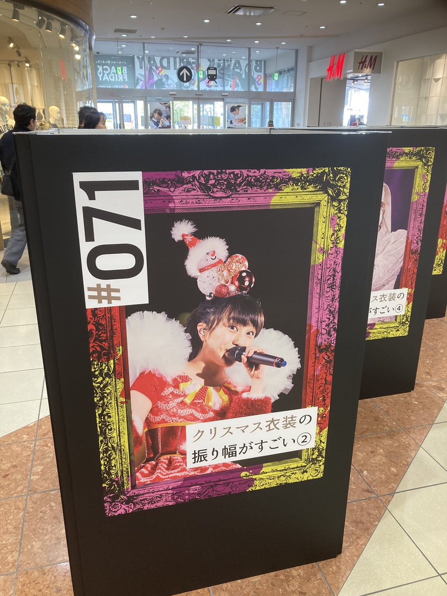 🚲で観にきた、今日は暖かくてよかったけど、風強め