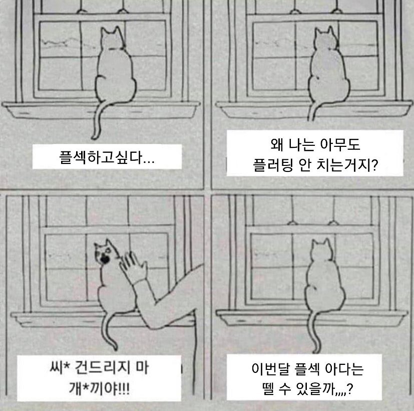 katharsis_FS's tweet photo. 플섹마렵네 https://t.co/HbMJJuIHEE