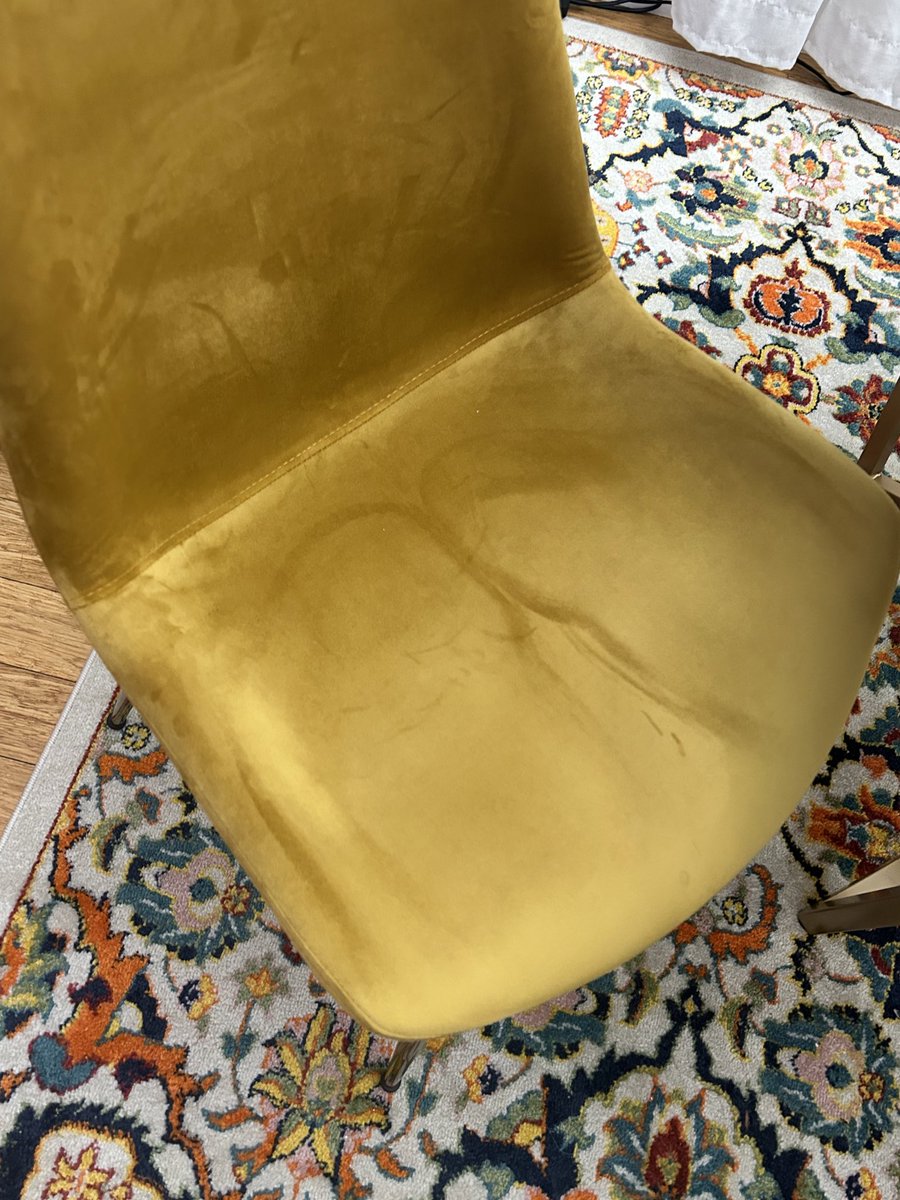 no one told me the downside to buying velvet chairs