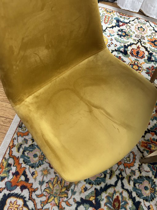 no one told me the downside to buying velvet chairs https://t.co/5Ooccr8TtV