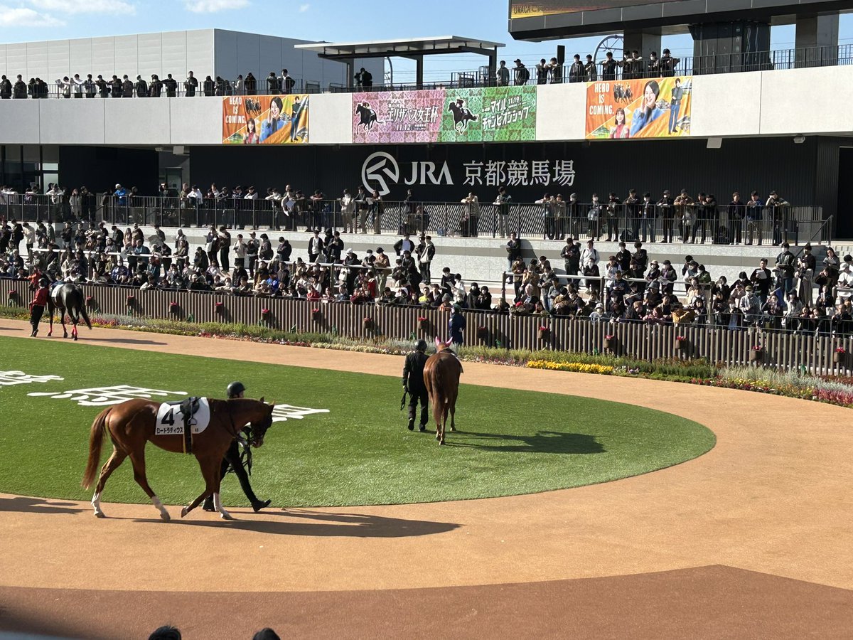77loki_xnc's tweet photo. 京都競馬場来た🍁 https://t.co/wBmPlvCtGi