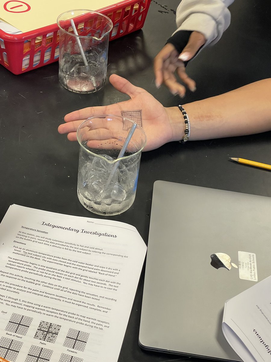 KGallagher_SCI's tweet photo. Students at #GallagherGeneralHospital used a series of experiments this week to gather sufficient evidence to support their own claims answering the question “is all skin the same?” to wrap up our #integumentary unit #anatomyteacher #teacherlife https://t.co/uc69hZc0j0