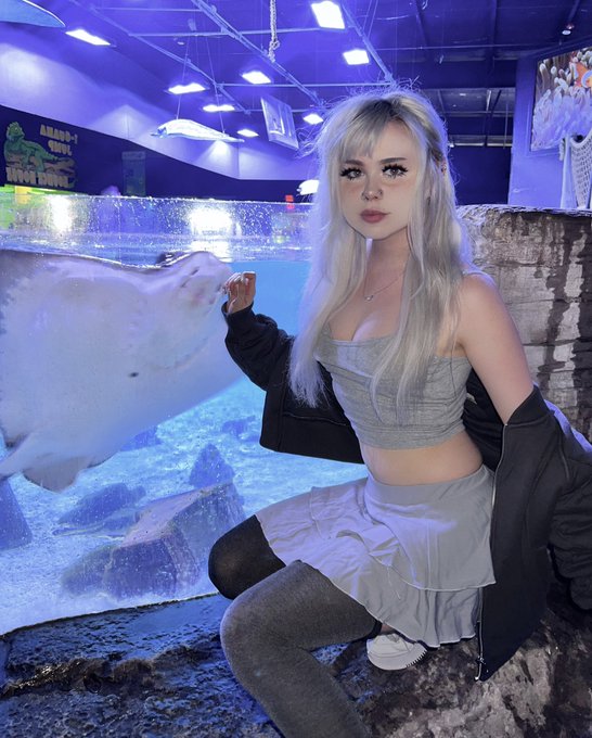 Raisa_DoodFun's tweet photo. @BeelzebubRhino 🔥ONLY FANS����
🔴𝙁𝙐𝙇𝙇 𝙑𝙀𝙍𝙎𝙄𝙊𝙉🔴
🔞Full Download🔞
🔒𝙁𝙤𝙡𝙡𝙤𝙬 𝘼𝙠𝙪𝙣 𝙍𝙖𝙧𝙚🔒 
@leelo_Kim

@tere_Quenn

@Aulya_Dood

📌𝙅𝙊𝙄𝙉 𝙂𝙍𝙐𝙋
https://t.co/QtodRAAhHl https://t.co/7EnIJUeUaI