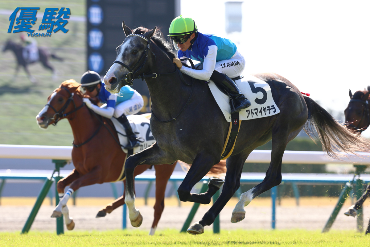 YUSHUN_Magazine's tweet photo. 京都第５レース「２歳新馬」(芝2000m)は #川田将雅 騎手騎乗の #アドマイヤテラ が３番手から抜け出しました。勝ちタイムは２分３秒３、上り３ハロン34秒２(稍重馬場)。父はレイデオロ、母はクイーンＣ１着、オークス３着馬アドマイヤミヤビ(父ハーツクライ)です。 https://t.co/BkT2LDJwMf