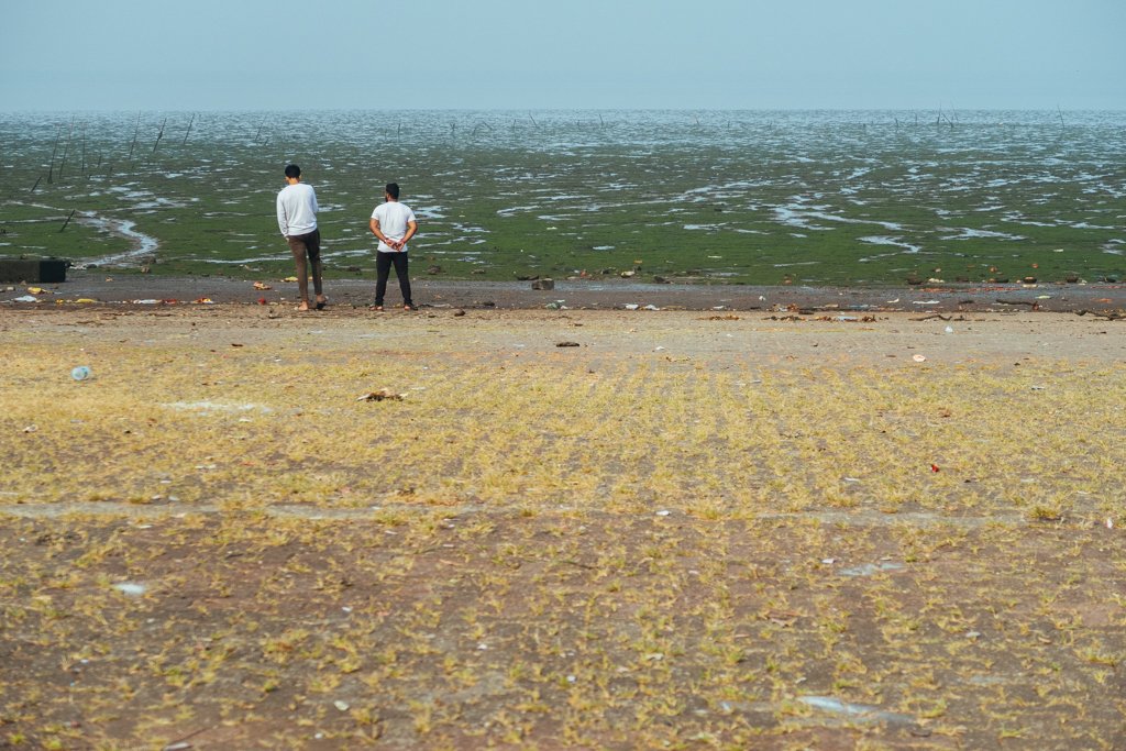 SloganMurugan's tweet image. #IndianTideLine 
This is what it looks like at low tide along the Navi Mumbai side of the Thane Creek. Anyone flying in to Mumbai or taking the rail and Airoli bridge do look.