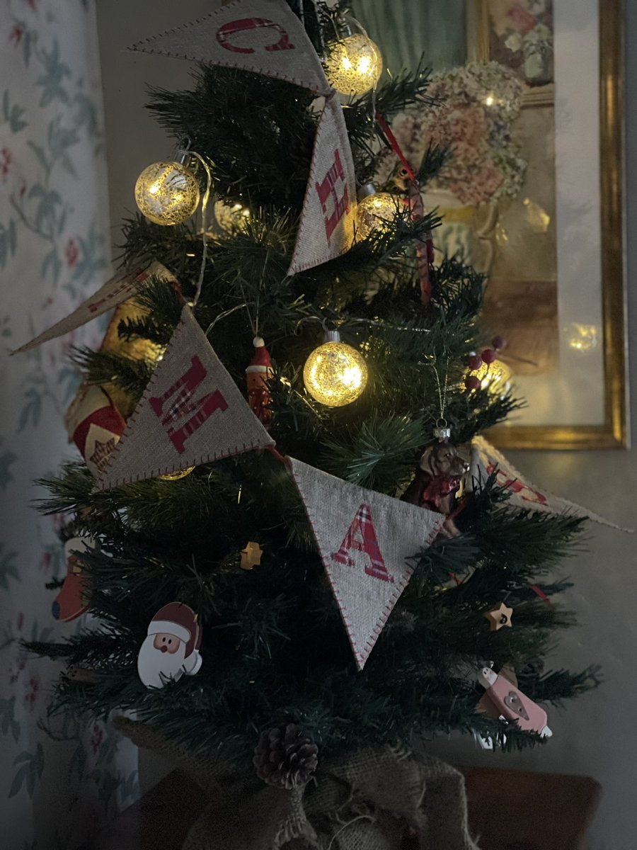 THUNTER_x's tweet photo. Little Christmas tree 🎄#treeup https://t.co/OfxaSDGeMO