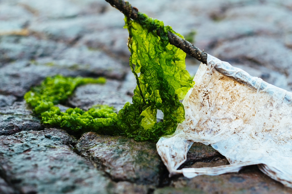 SloganMurugan's tweet image. #IndianTideLine 
Would you like a closer look?