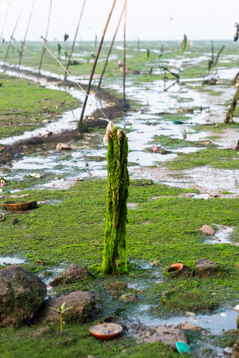 SloganMurugan's tweet image. #IndianTideLine