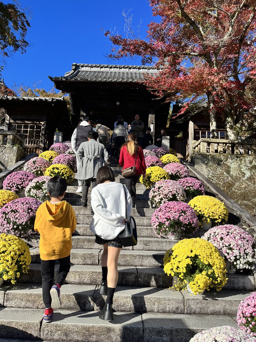 近すぎて行かないシリーズ
 #修善寺