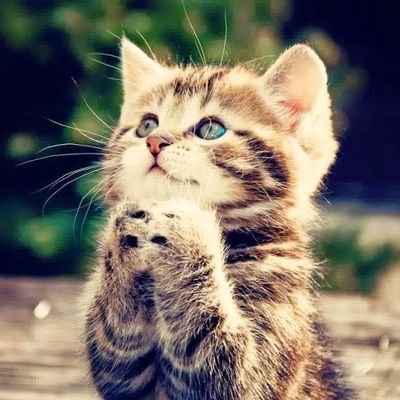 Philben Sebastian tweet media