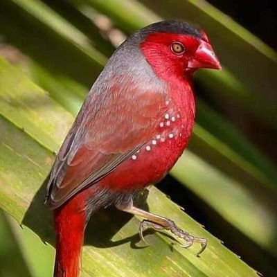 MerlinNuri95334's tweet photo. Investigador/Analista independiente Evaluación de riesgo político y social https://t.co/srCYmPFnvh