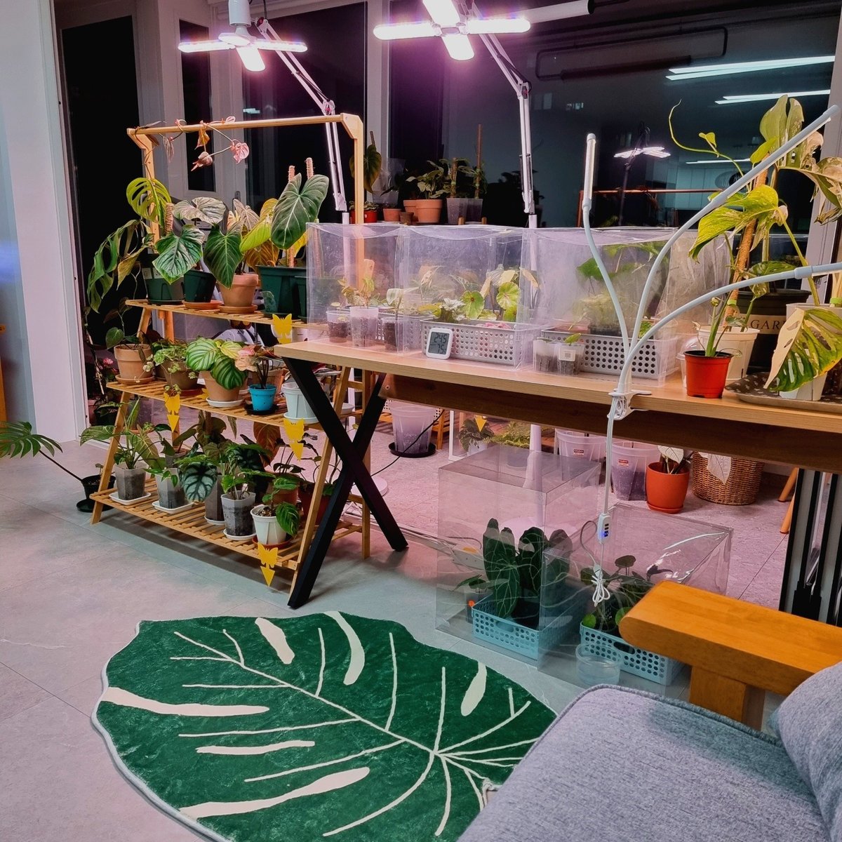 🥶추운 겨울에 어울리는 몬스테라 러그🔥

집안 분위기를 보타니컬하게 바꾸면서 따뜻하고 부들부들한 촉감까지🩷🩵

강아지와 애기들이 더 좋아하는건 안비밀🐶👶

🌟나눔이벤트🌟

⌨️참여방법/팔로+인용RT+하트  
📷발표일/다음주 일요일 (11/26)

구매는👇
shorturl.at/yCJT2