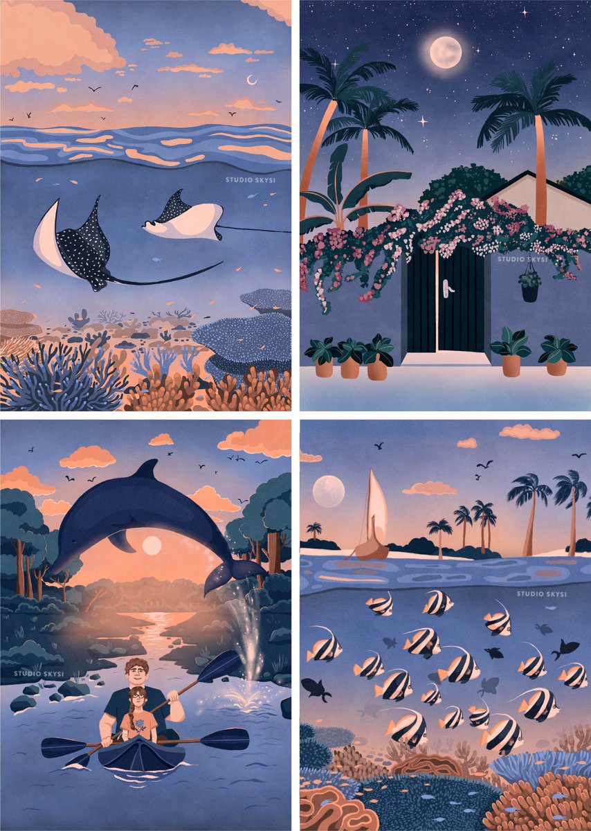 Zeina Shareef tweet media