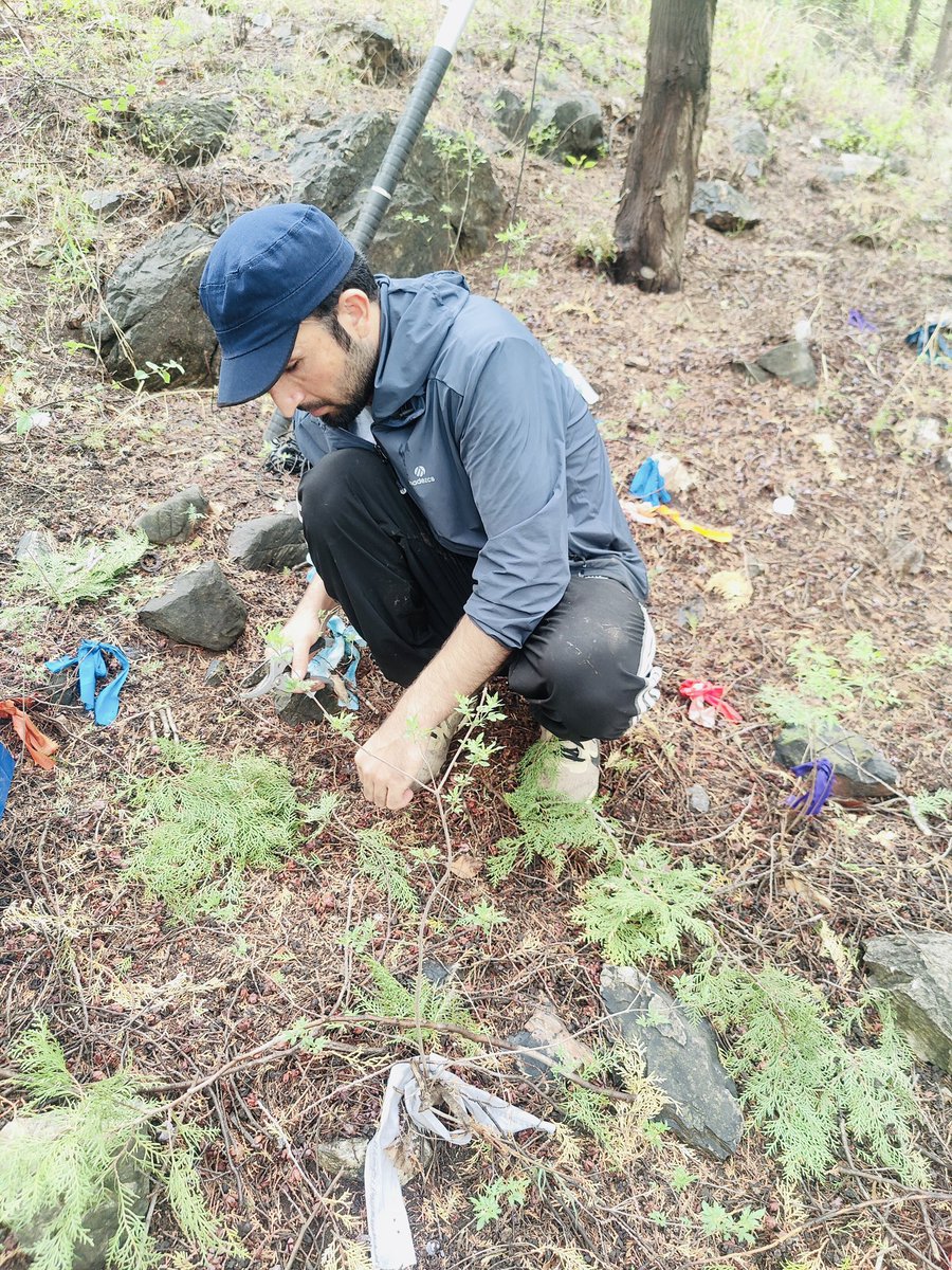 IjlalHaidar5's tweet image. Finally finished and completed samples collection of the year 2023. Now it’s time of lab indoor experiments.
#NSC
#SSRG lab