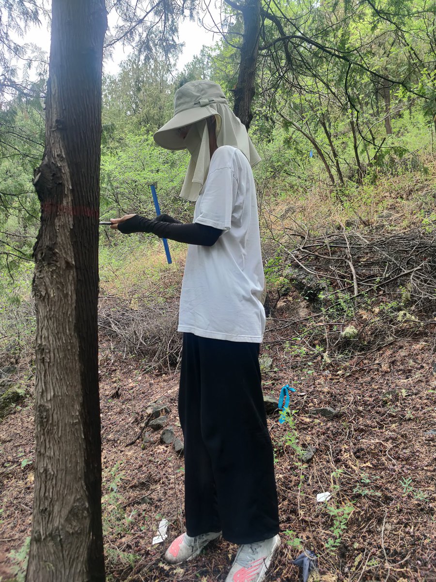 IjlalHaidar5's tweet image. Finally finished and completed samples collection of the year 2023. Now it’s time of lab indoor experiments.
#NSC
#SSRG lab