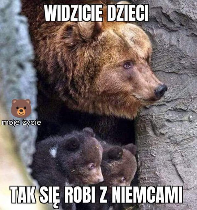 F_Rk6TcWAAE9Q84