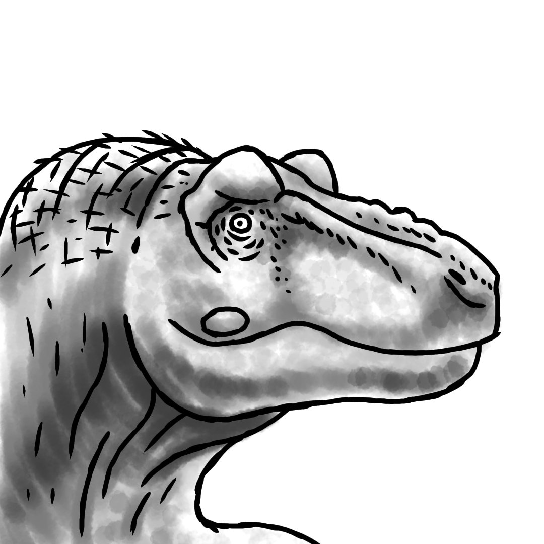 Tyrannosaurus sketch