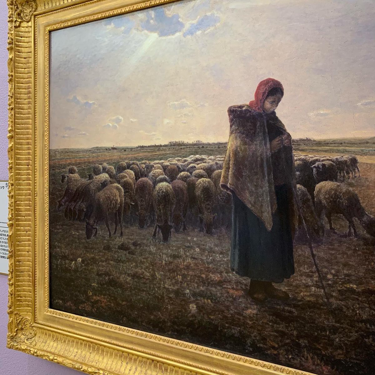 羊飼いの少女 羊飼いの少女