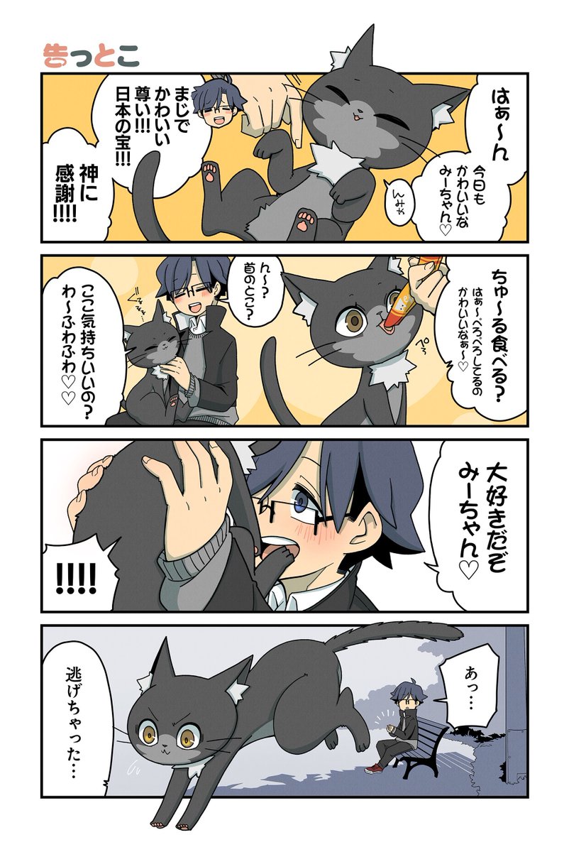 【告っとこ】NOBEL『猫の手だって役に立つ』 #ツイ4