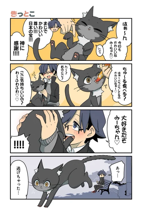 【告っとこ】NOBEL『猫の手だって役に立つ』 #ツイ4