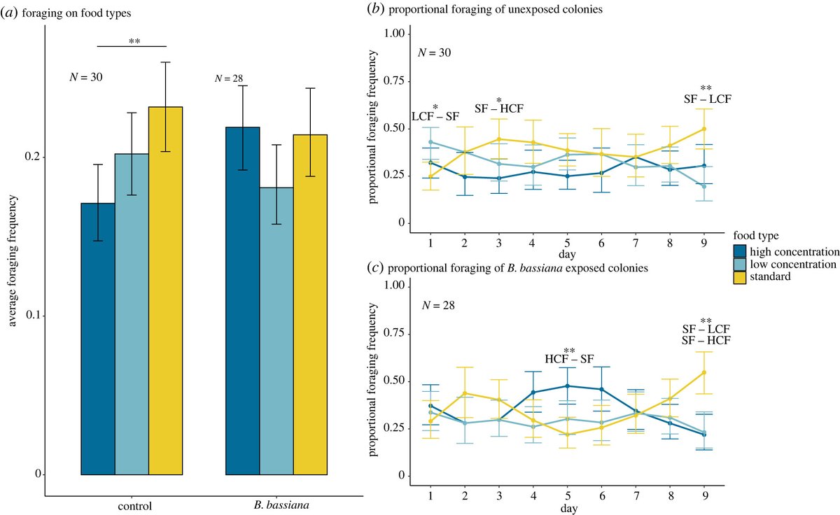 #BiologyLetters authors show that #aphids could be a source of medicine for ants. Read, #Formica fusca ants use aphid-supplemented foods to alleviate effects during the acute phase of a fungal infection ow.ly/c72s50Q82mb #plasticity #evolutionarybiology #ecology