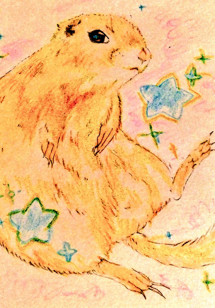 遠夜さん家のまめすけ tweet media