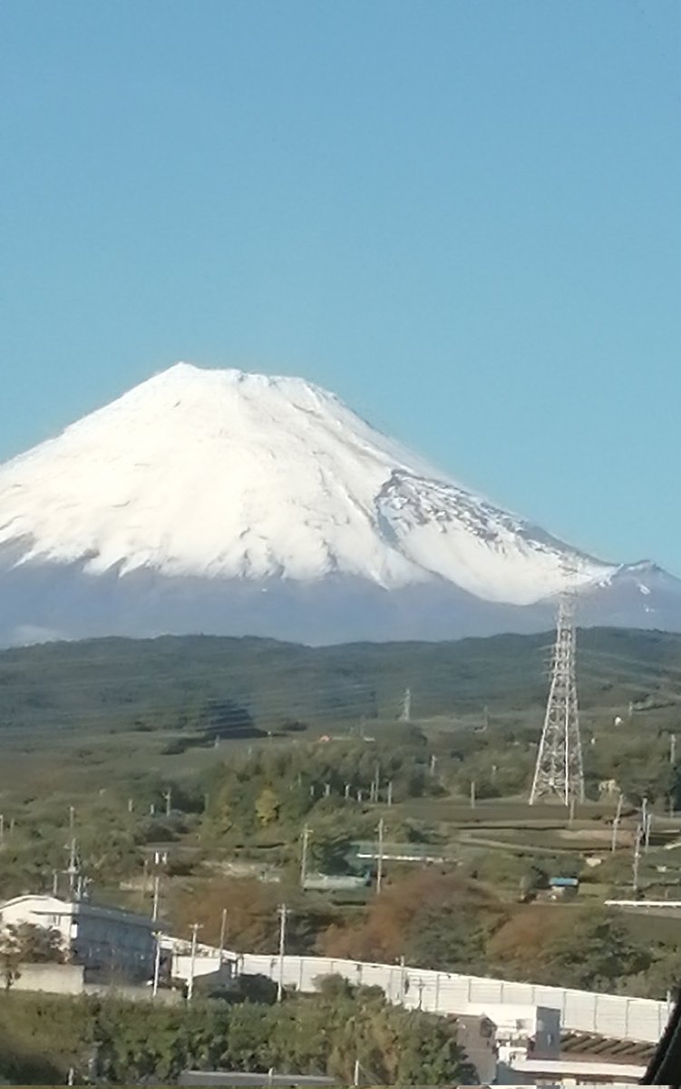 残り2週間を浅草で過ごす途中です~✨🐺✨