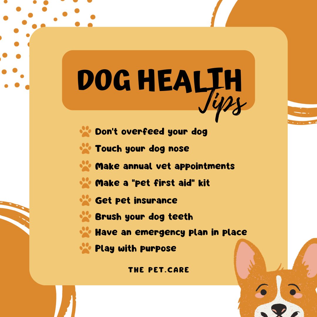 🐕‍🦺 Dog Health Tips: 

#GermanShepherd #Dog #Doglover #Dogsoftwitter #DogHealth #DogHealthTips #HealthTips
#thepetcare #petloversunite #petproducts #pethealth #petwellness #petsupplies #dogare #petnutrition #petcommunity #healthypets #petwellbeing #petstore #petonlinestore