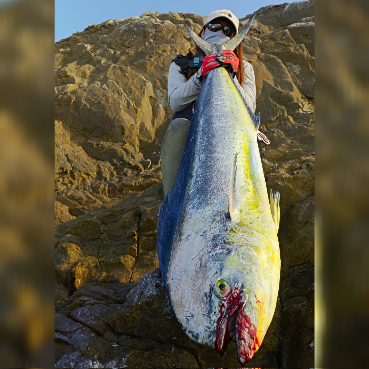 NobikoSotoasobi's tweet photo. 身長と同じぐらいの巨大な魚が釣れました🎣
#monsterfish #fishing
#fishinglife #fishinglifestyle
#amazingfish #hugefish
#大物釣り #車中泊女子 #釣り女子
#軽キャン #DIYキャンピングカー
#carcamping #japanesecampervan https://t.co/vgknYMYH66