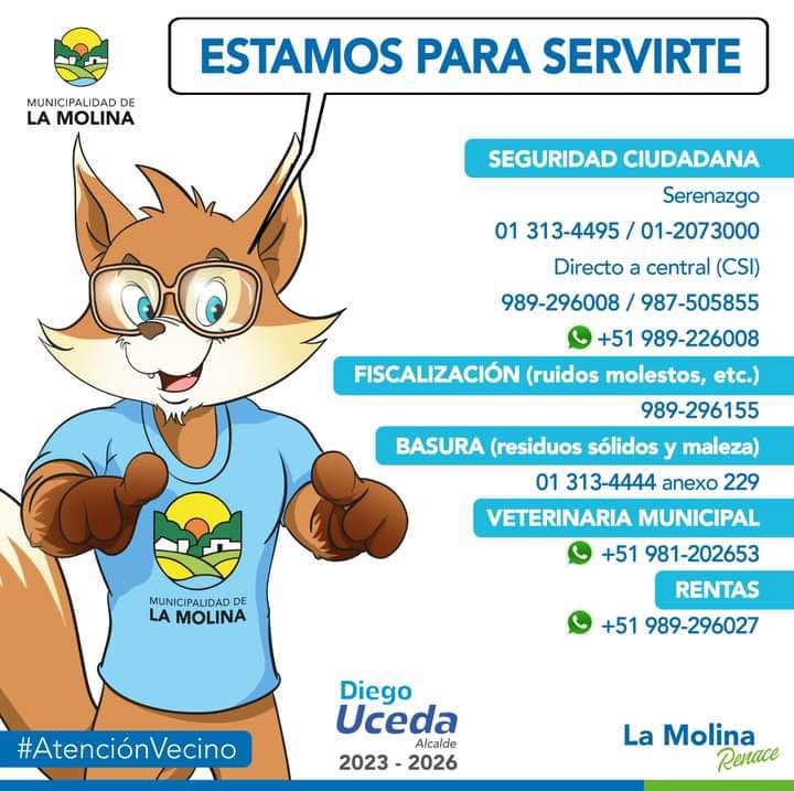 kiara cabrera schmidt tweet media