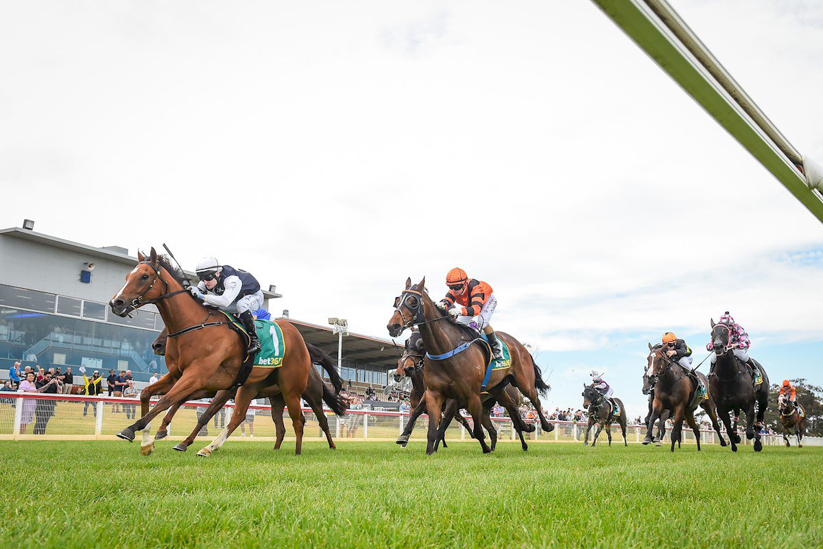 szahraracing's tweet photo. The Ultra-consistent #magnus gelding CHARGENLIKAPLUMA returned to the winners circle at @GeelongRaceClub this afternoon. 

Given an absolute peach in-transit by @craig_newitt making it an easy watch for all involved. 

Congratulations to his patient connections on another meaningful win!