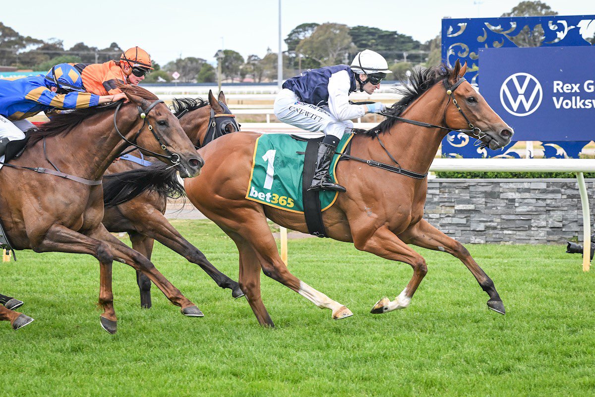 szahraracing's tweet photo. The Ultra-consistent #magnus gelding CHARGENLIKAPLUMA returned to the winners circle at @GeelongRaceClub this afternoon. 

Given an absolute peach in-transit by @craig_newitt making it an easy watch for all involved. 

Congratulations to his patient connections on another meaningful win!