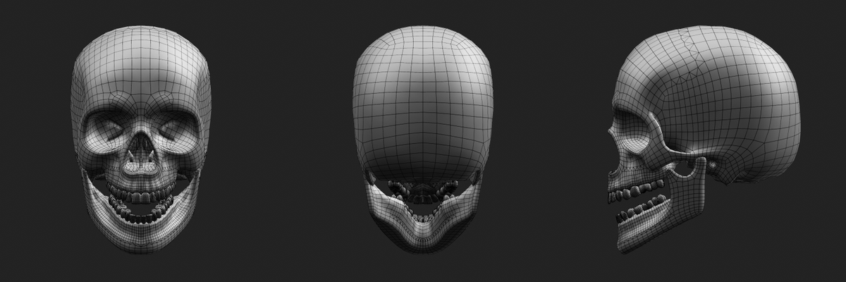 MiyapCG's tweet photo. Blenderで骸骨のモデリングしました。Sketchfabでダウンロード可能。本当はCC0にしたかったけど、できなかった。有料版だけかな？
https://t.co/Rx8STBwaNY
#b3d #scull #3DCG https://t.co/MN57Kr2Zfm