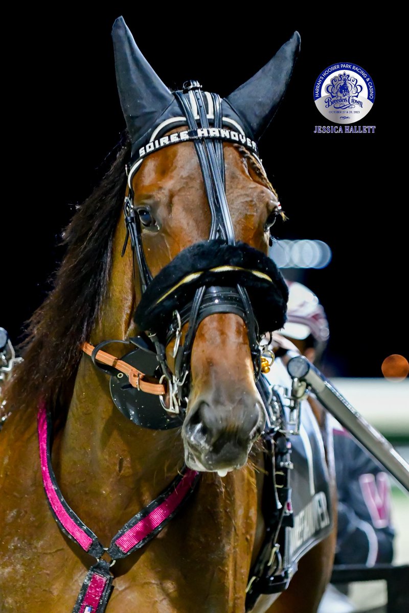 Soiree Hanover won the Goldsmith Elimination tonight with @TR_Harness in the bike for Lucas Wallin. She advances to next week’s Fall Final Four at the Big M