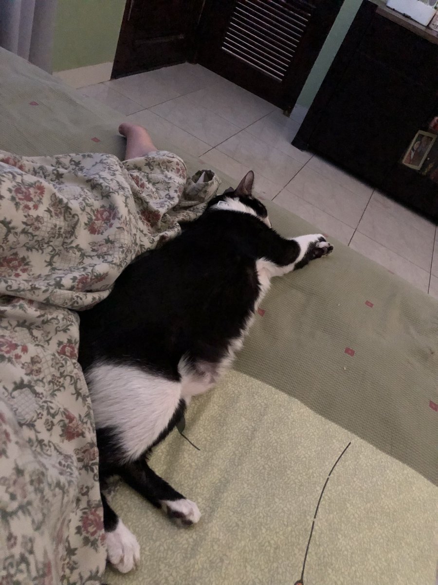 😴😴😴