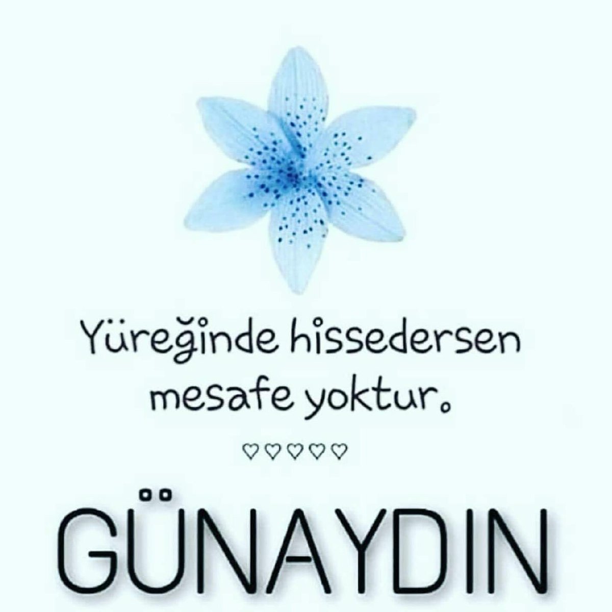 Gani (@gani6348) on Twitter photo 