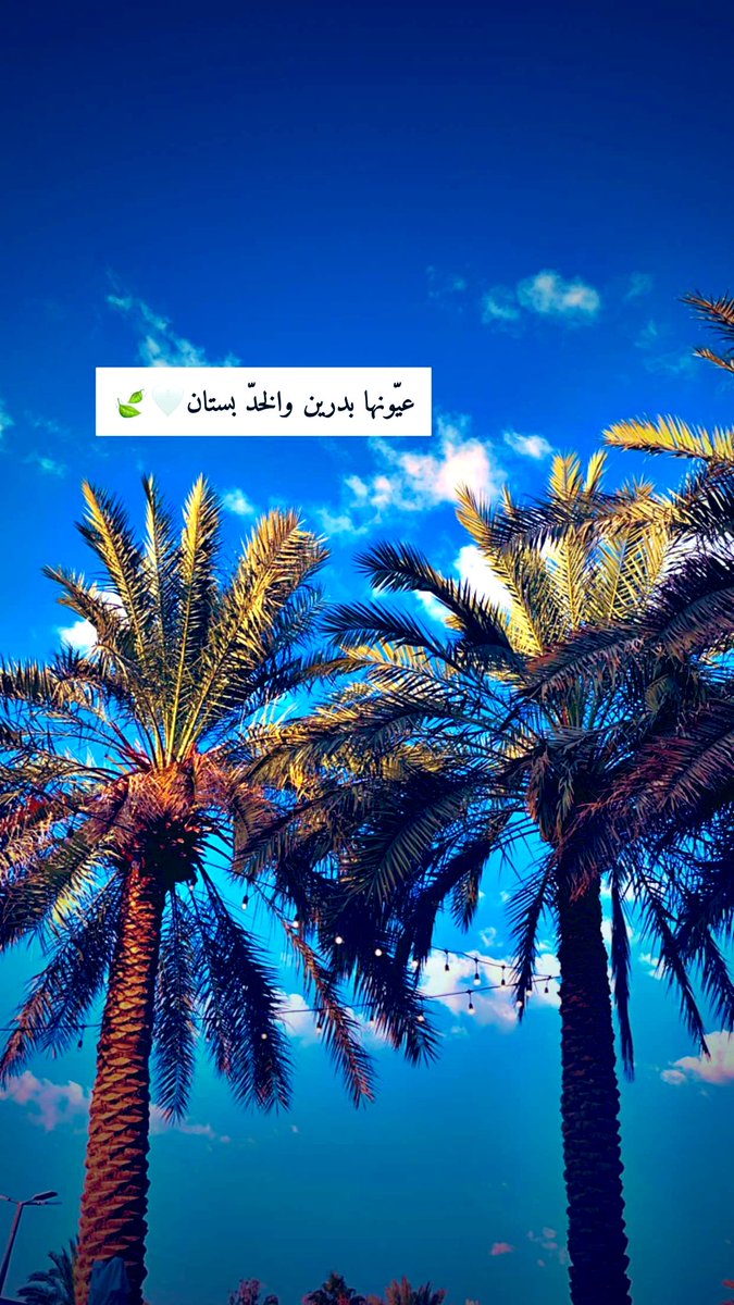 jfoooon99's tweet photo. 💙🤍🍃 https://t.co/Kqw9HhCAk0