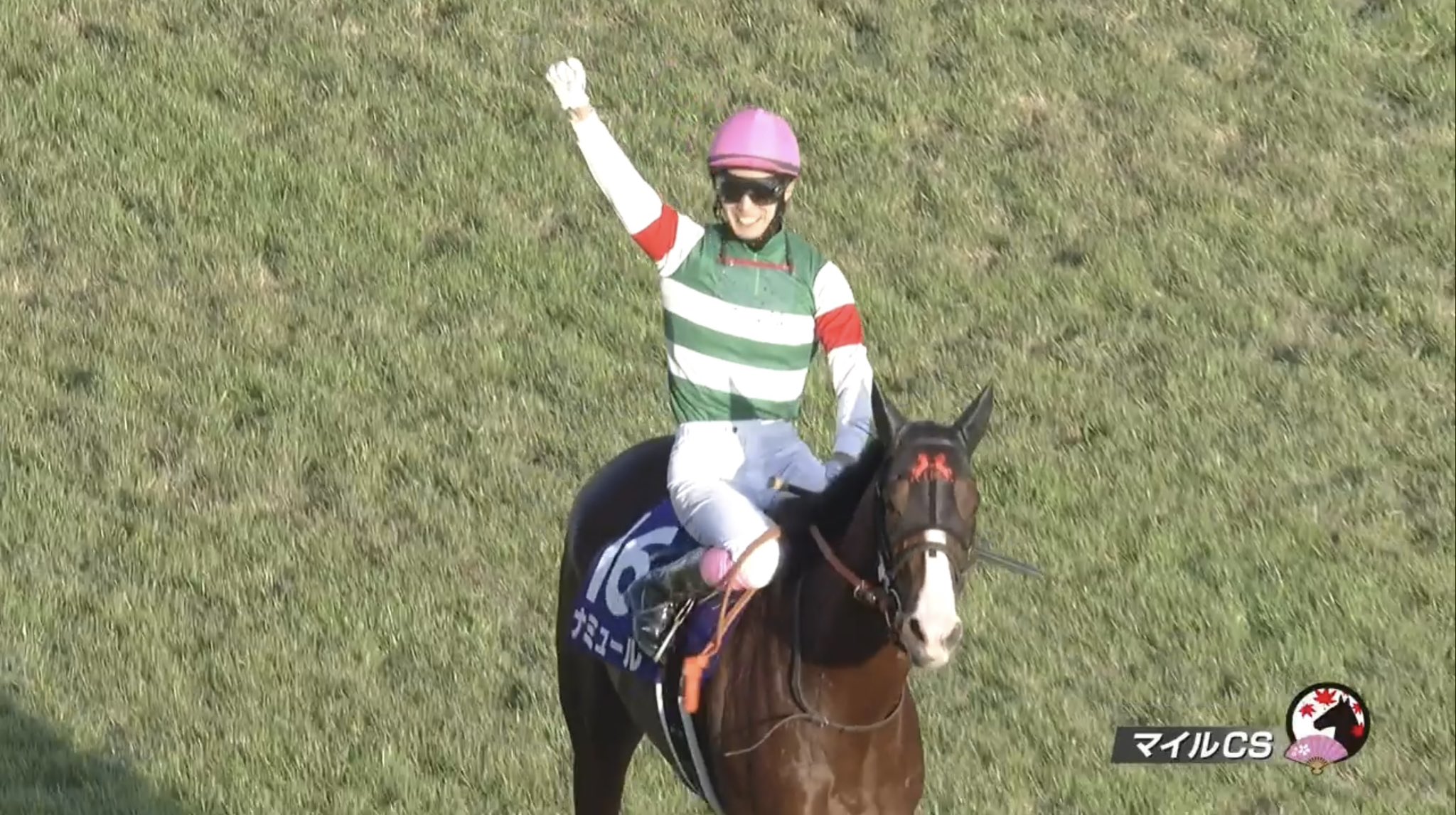 JRA マイルチャンピオンシップ ナミュール 藤岡康太騎手