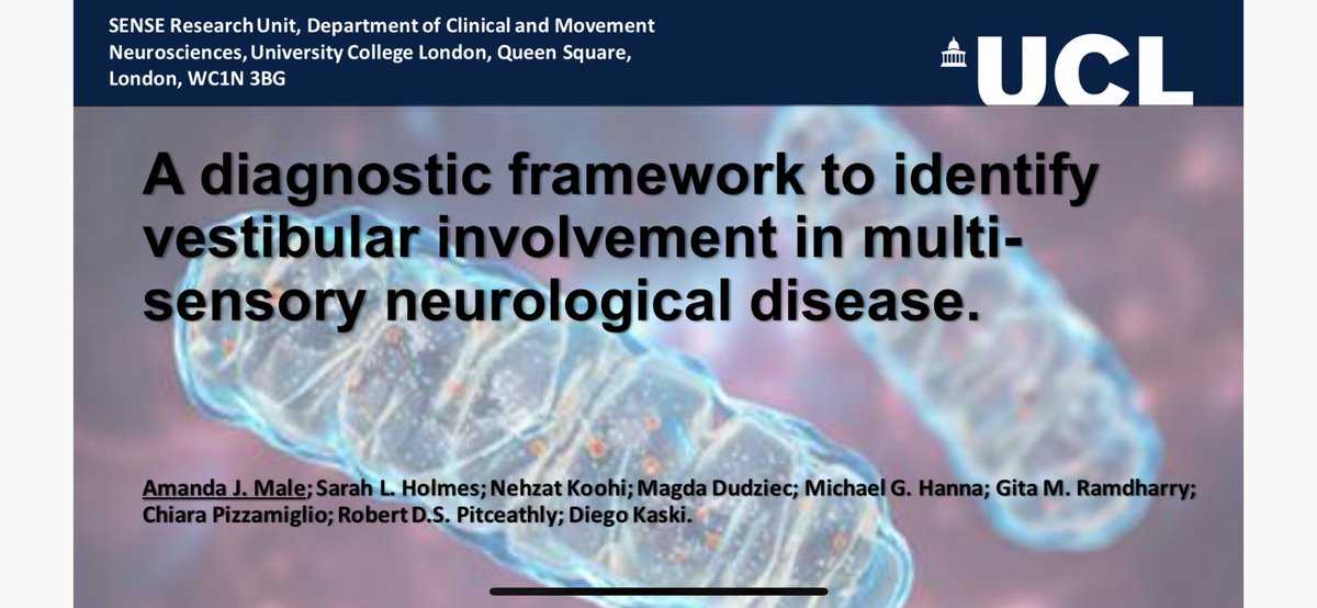 Vestibular Rehab Physio (@vestibularp) on Twitter photo Thank you to #BSNO for a great two days of sharing research and key note speakers. I was grateful to be asked to share two projects I have been part of at @UCL and @NHNN. Roll on more exciting research collaborations. <a href="/DiegoKaski/">Diego kaski</a> <a href="/RobPitceathly/">Robert Pitceathly</a> @gitaramdharry <a href="/NeziRenascence/">Nezi Koohi</a> Thank you to #BSNO for a great two days of sharing research and key note speakers. I was grateful to be asked to share two projects I have been part of at @UCL and @NHNN. Roll on more exciting research collaborations. <a href="/DiegoKaski/">Diego kaski</a> <a href="/RobPitceathly/">Robert Pitceathly</a> @gitaramdharry <a href="/NeziRenascence/">Nezi Koohi</a>