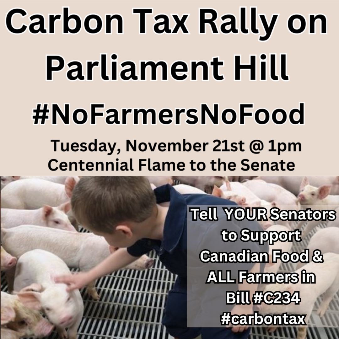 JanetKrayden1's tweet photo. If #NoFarmersnoFood!  If you care about affordable food and Canadian produced food. Bring your own signs supporting Canada's farmers!  Tues., Nov 21 join our #CarbonTax Rally Supporting Canadian 🇨🇦farmers.  

Meet up at the Centennial Flame 11:30 am onward. This is to support #cdnag farmers who are struggling. We are asking the Senators to pass Bill #C234 to exempt ALL Canadian farmers from the carbon tax for things like heat for barns & greenhouses, so our farmers can grow affordable food. Join us.     

#carbontax #cdnpoli #ontag #Ottawa 

@BirnamPork @ONPorkCouncil @markcham69 @OntarioPork @cdnpork