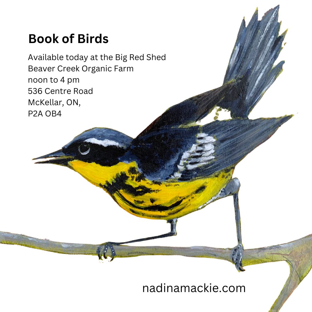 NadinaMackie (@nadinamackjack) on Twitter photo 