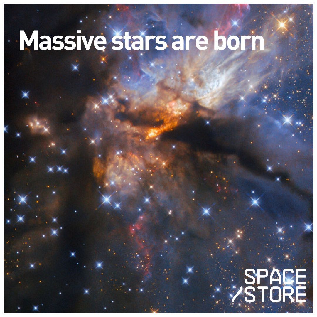 Space Store tweet media