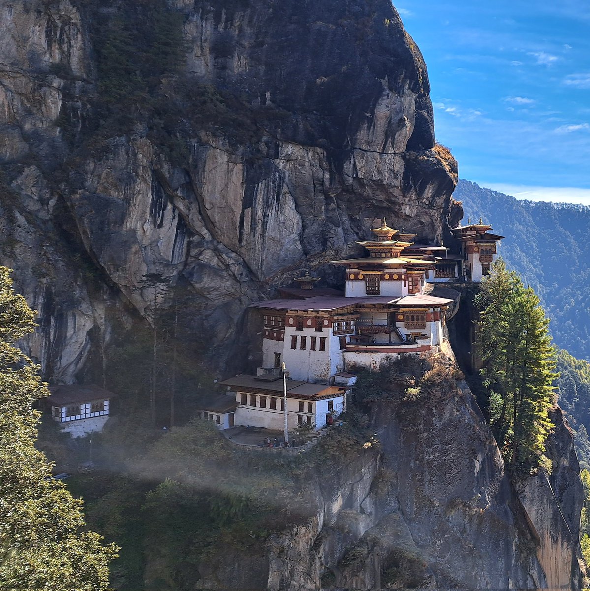 Billy F. K. Howorth tweet media